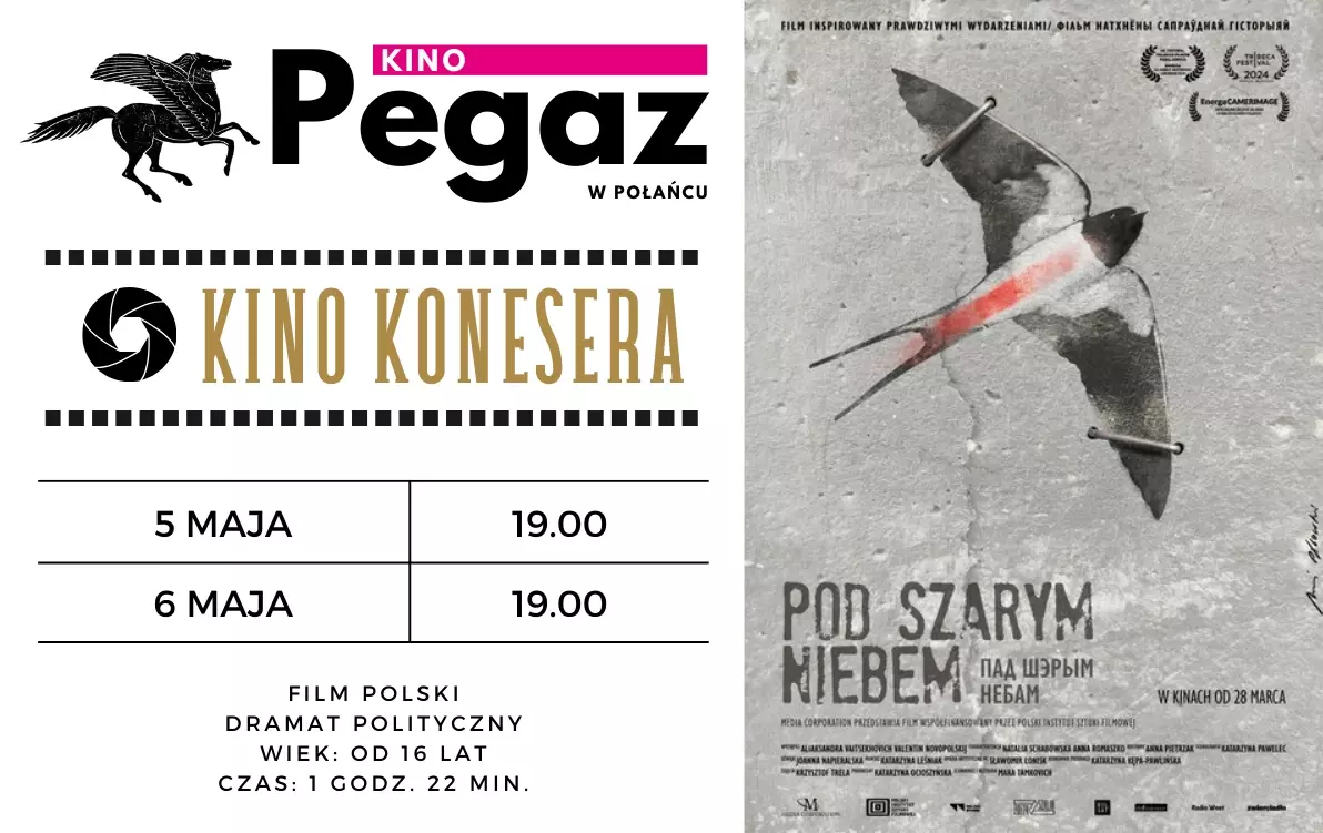 Zdjęcie do Kino "Pegaz" zaprasza na film "Pod szarym niebem"