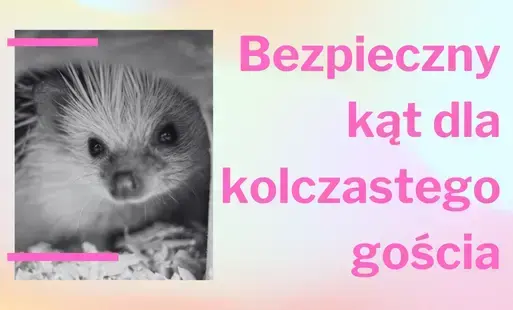 Zdjęcie do Tworzymy domki dla jeży - zapraszamy na warsztaty ekologiczno-plastyczne "Bezpieczny kąt dla kolczastego gościa"
