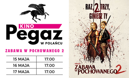 Miniatura wpisu - plakat filmu "zabawa w pochowanego 2", termin seansu w kinie "Pegaz"