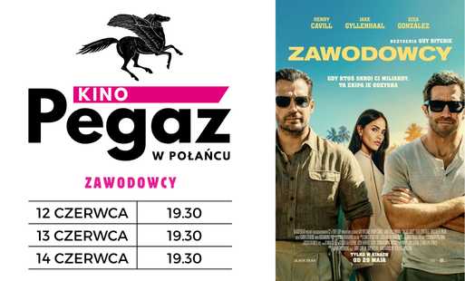 Zdjęcie do Kino "Pegaz" zaprasza na film "Zawodowcy"