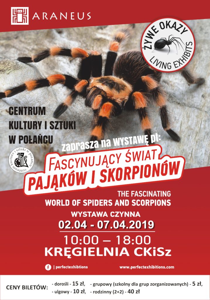 Fascynujący świat pająków i skorpionów