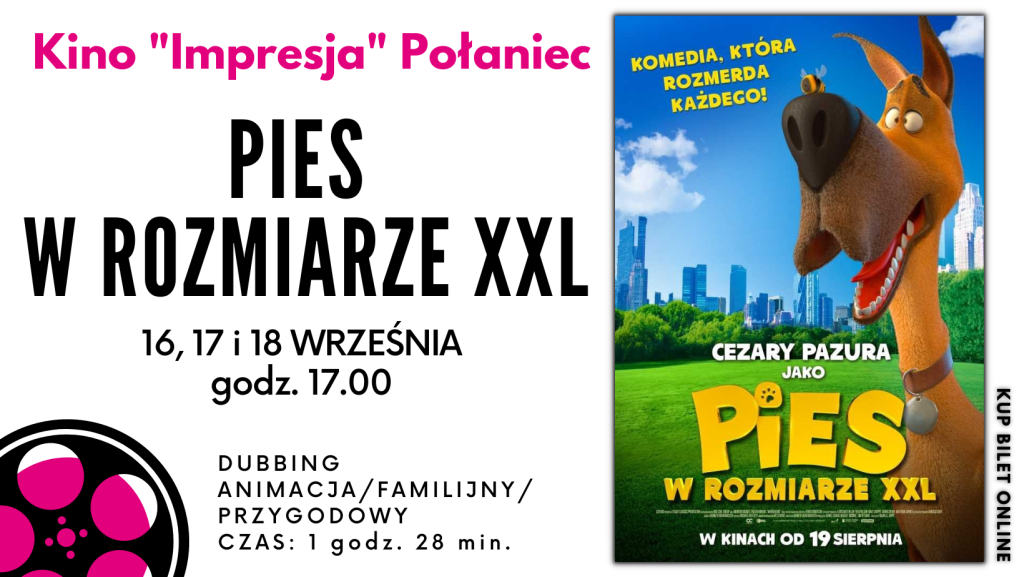 Plakat doi filmu Pies w rozmiarze XXL