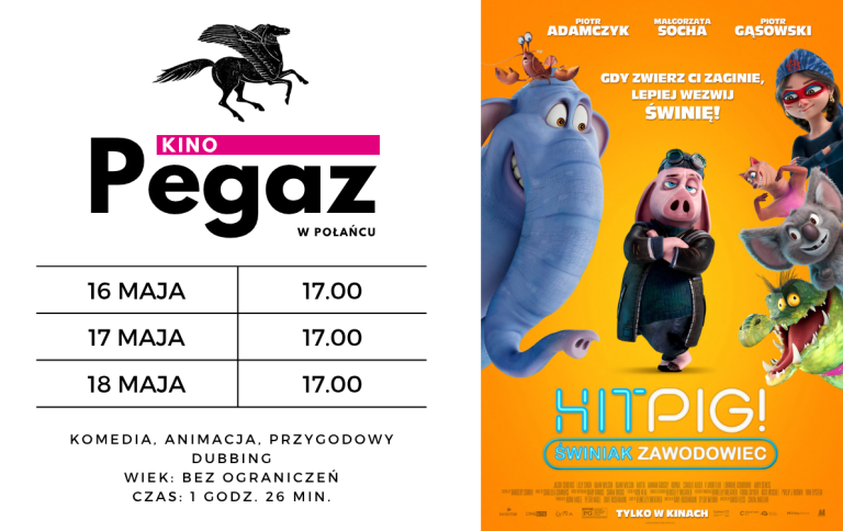 Plakat informacyjny filmu "Hitpig"